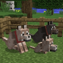 Sophisticated wolves icon