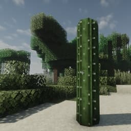 Round Cacti icon