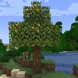 Golden Apple Tree icon