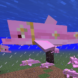 Pink dolphins icon