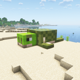 Turtle House icon