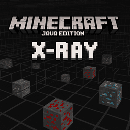 X-RAY Java Edition icon