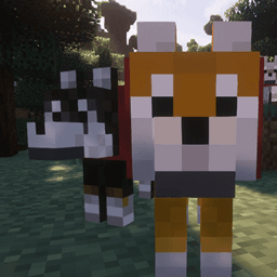 Shiba-dog icon