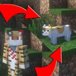 Gamingbarn's Morphs icon