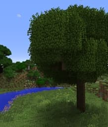 Better Foliage icon