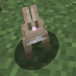 Friendly rabbits icon