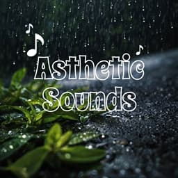 Aesthetic Sounds | A Sound Pack icon