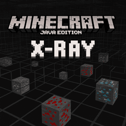 Xray Java icon