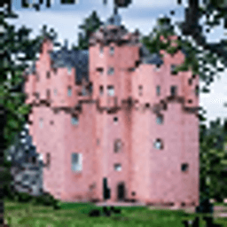 Pink Castle icon