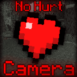 No Hurt Camera icon