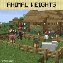 Animal  Weights icon