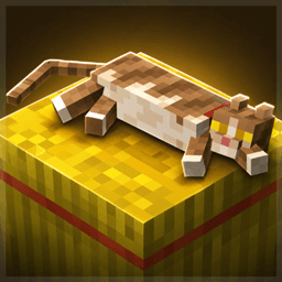 Cats Don't Care (CDC) icon