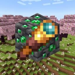Block Finder (X-Ray) icon