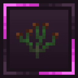 Antiquus icon