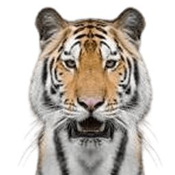 THE Tiger Mod icon