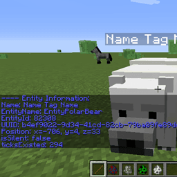 Entity Information icon