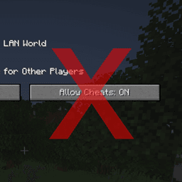 No LAN Cheating icon