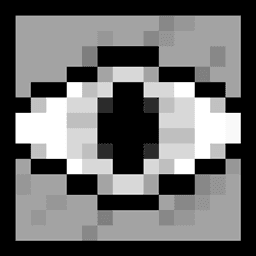 Custom FoV icon