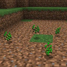 Grass Seeds icon