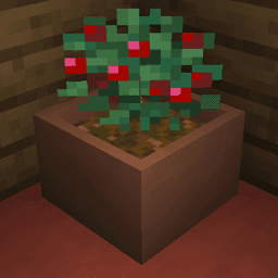 Botany Pots icon