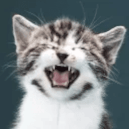 CatLib icon