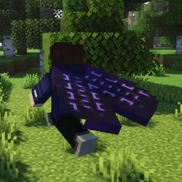 Elytra Physics icon