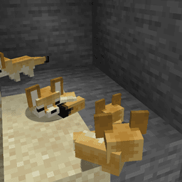 YDM's Fennec Fox icon