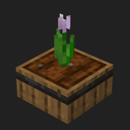 Sprout icon