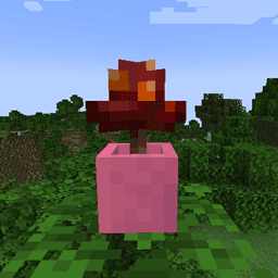 Flower Pots Plus icon