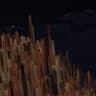 I Call Them Cities icon